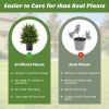 2-Pack Artificial Cedar Topiary Ball Tree with Cement Pot