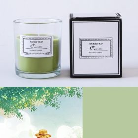 Christmas Handmade Fragrance Candle Light (Option: Green Forever Summer)