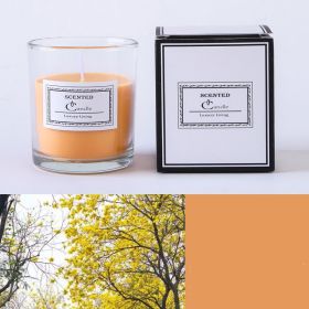 Christmas Handmade Fragrance Candle Light (Option: Orange magnolia)