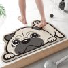 Home Decor Entrance Doormat Diatom Mud Floor Mats Bathroom Cartoon Mat